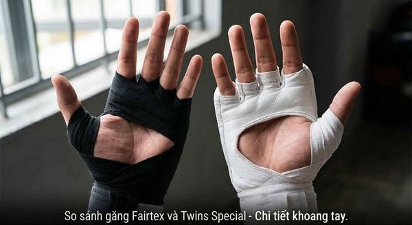 So Sánh Găng Fairtex Và Twins Special: Đâu Là Lựa Chọn Hoàn Hảo?