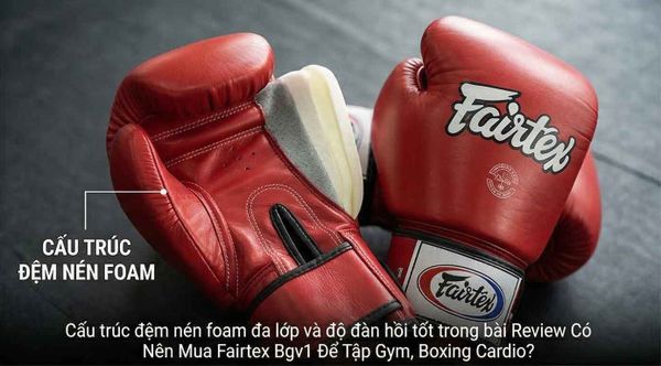Có Nên Mua Fairtex Bgv1 Để Tập Gym, Boxing Cardio?