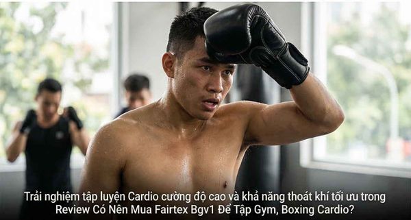 Có Nên Mua Fairtex Bgv1 Để Tập Gym, Boxing Cardio?