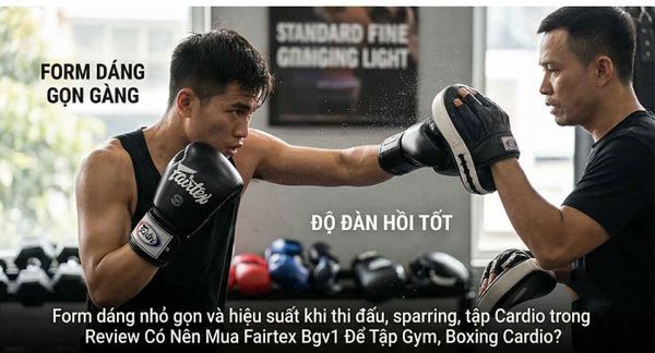 Có Nên Mua Fairtex Bgv1 Để Tập Gym, Boxing Cardio?
