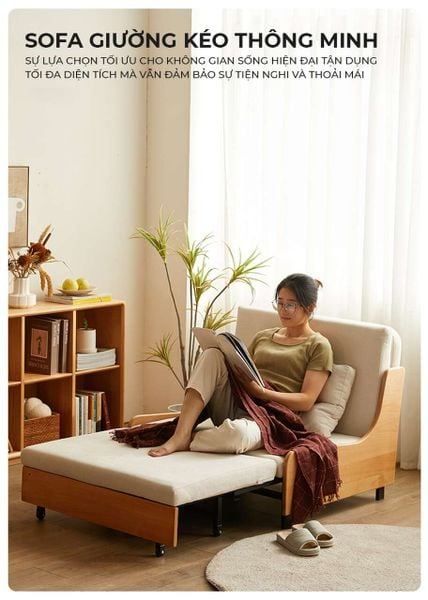 giường kéo sofa