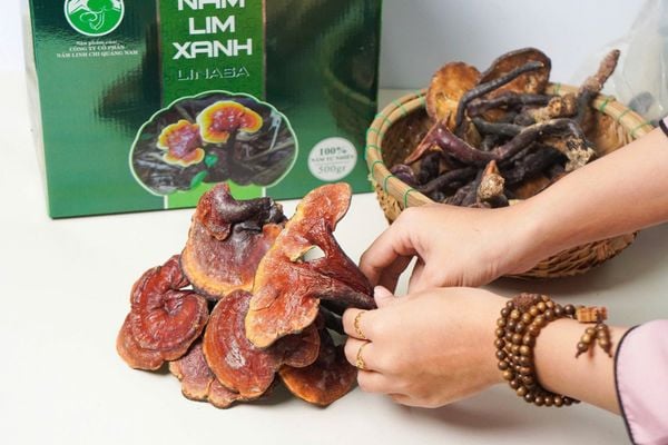 Điều khiến nhiều người bất ngờ khi thấy nấm rừng lần đầu