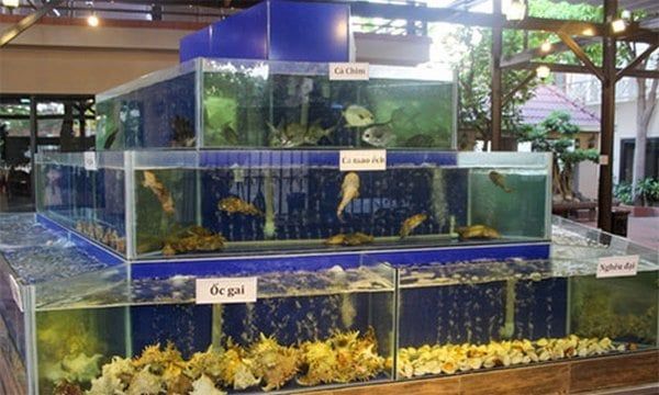 Nước trong bể bị đục