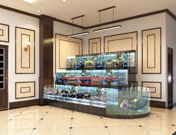 Giữ hải sản luôn tươi ngon