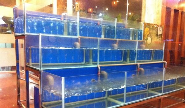 Hỗ trợ kinh doanh hiệu quả