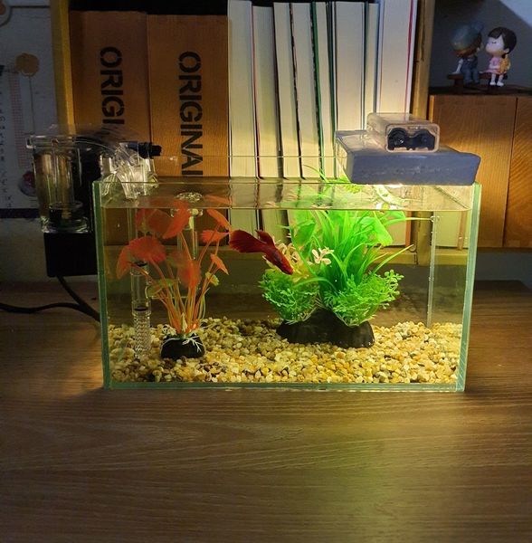 Đèn bể cá mini là gì?