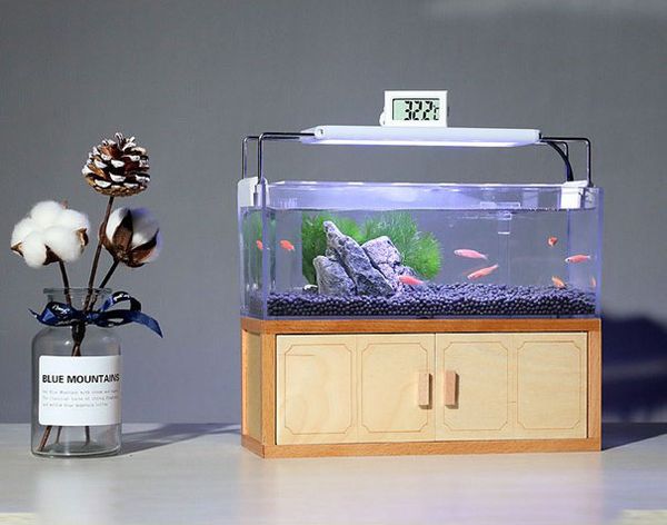 Ưu nhược điểm đèn bể cá mini: có đáng để sử dụng hay không?