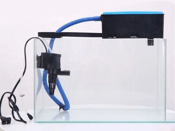 Top 5+ Máy lọc nước bể cá tốt nhất hiện nay
