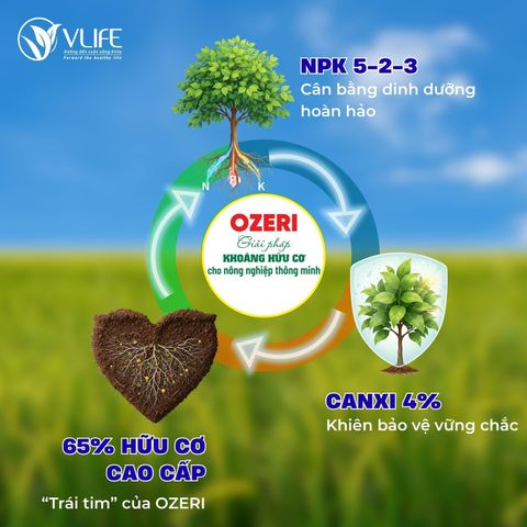 KHOÁNG HỮU CƠ OZERI NPK 5-2-3 + 65 OM