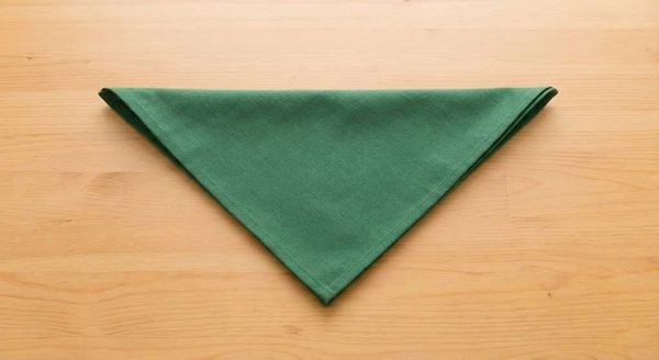 gấp khăn ăn hình cây thông