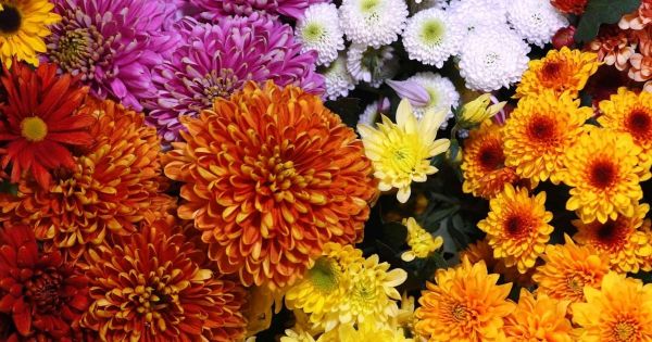 người trung quốc thích được tặng quà gì