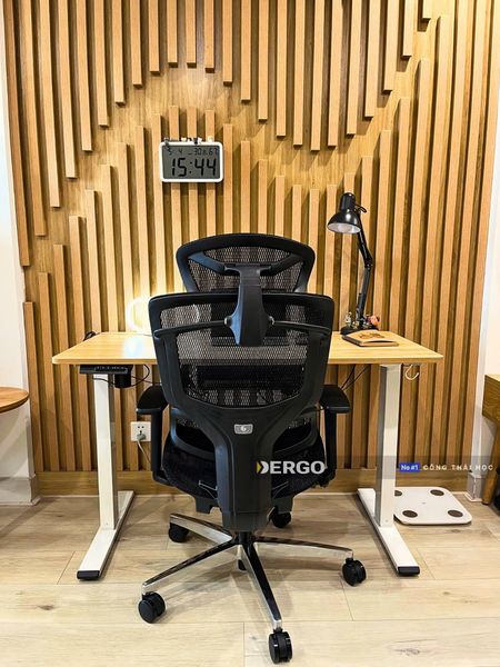 Ghế công thái học ngày càng được nhiều người lựa chọn bởi sự thoải mái và lợi ích lâu dài cho sức khỏe