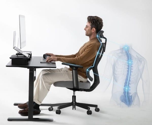 Ghế công thái học đang được nhiều dân công sở, văn phòng quan tâm bởi tác dụng giảm đau mỏi khi ngồi lâu