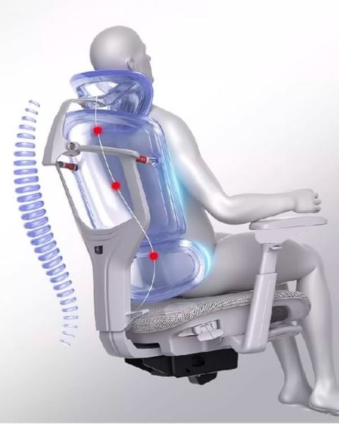 Ghế công thái học đã được chứng minh tác dụng hỗ trợ cột sống