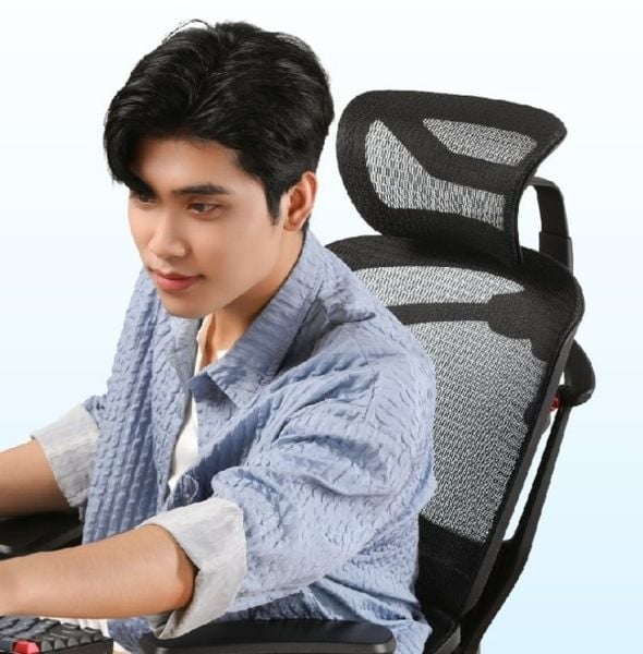 Ghế công thái học hiện nay có tính năng nâng đỡ toàn diện vùng xương sống, xương chậu, mông đùi, mang lại cảm giác dễ chịu dù có ngồi lâu