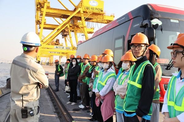 Sinh viên HPU đang thực tập thực tế tải Cảng Hải Phòng