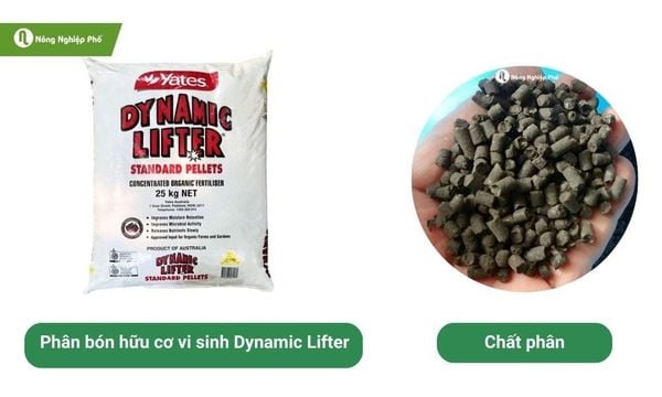 Phân bón hữu cơ vi sinh Dynamic Lifter hỗ trợ tăng đề kháng cho cây chuối