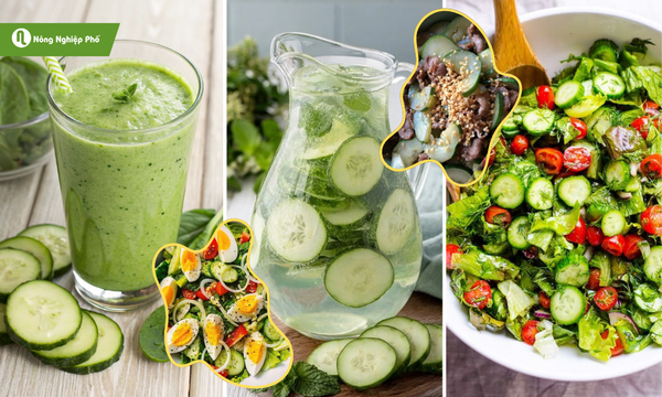 Một số món được chế biến với dưa chuột mini