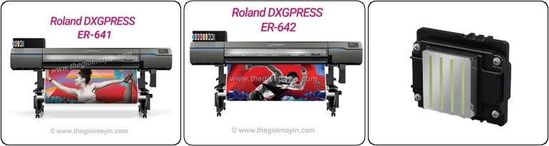 top 5 máy in decal 03