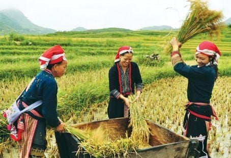 Nguồn gốc lịch sử của ngày 8/3