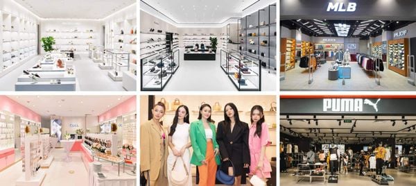 Maison - Đối tác phân phối chính thức cho hơn 70 thương hiệu quốc tế