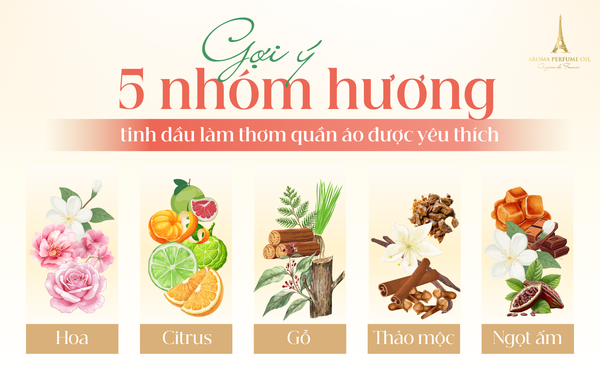 Gợi ý 5 nhóm hương tinh dầu làm thơm quần áo được yêu thích