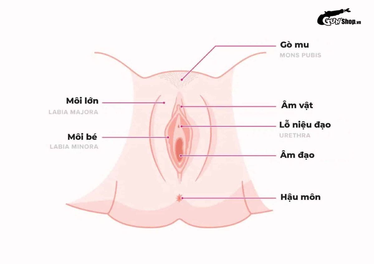 Chưa quan hệ có bị nấm không?