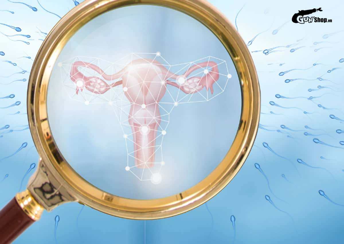 Nữ chuyển giới thành nam có sinh con được không?