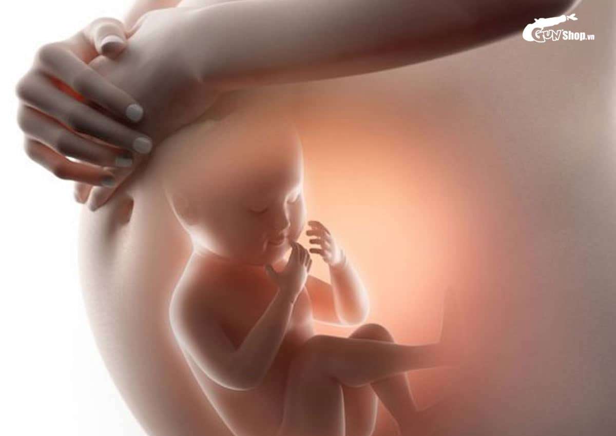 Tam cá nguyệt là gì?