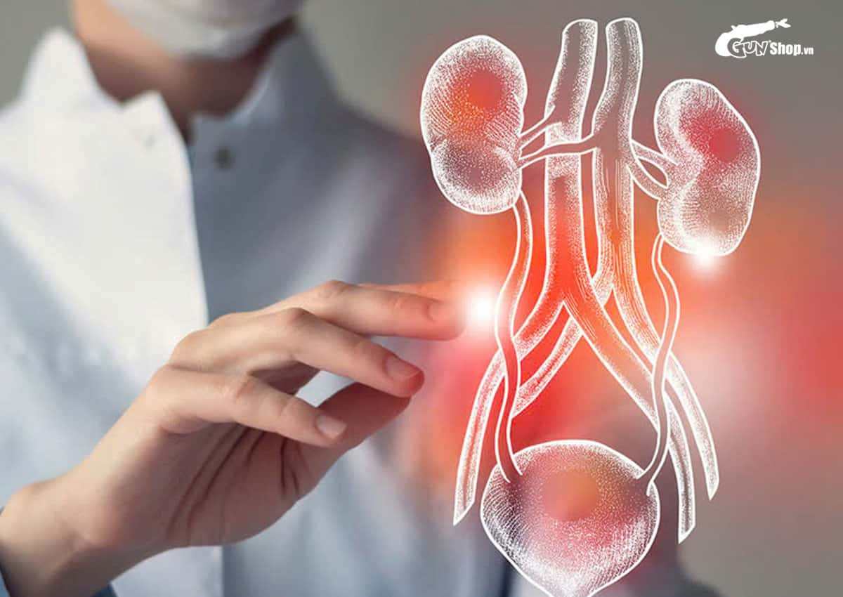 Thực phẩm chức năng bổ thận: Giải pháp tăng cường sức khỏe nam giới