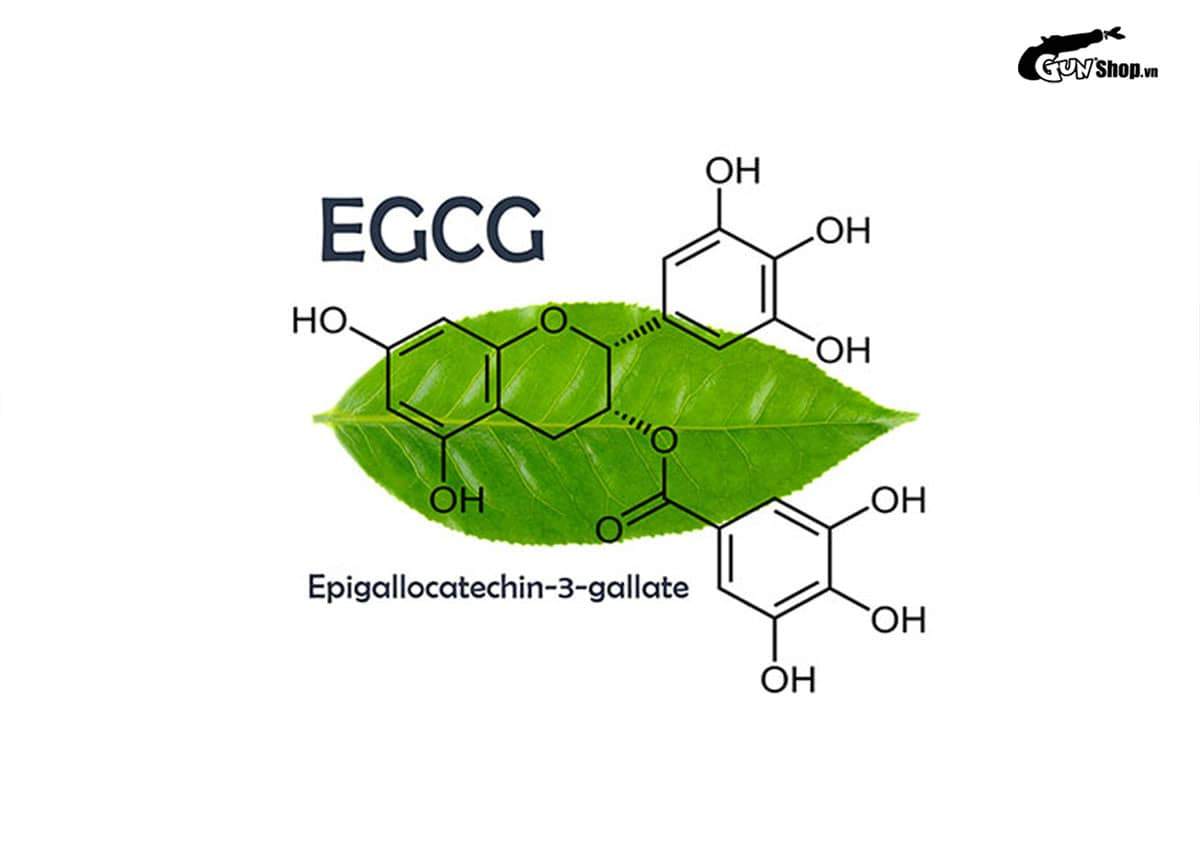 Uống matcha có nổi mụn không?