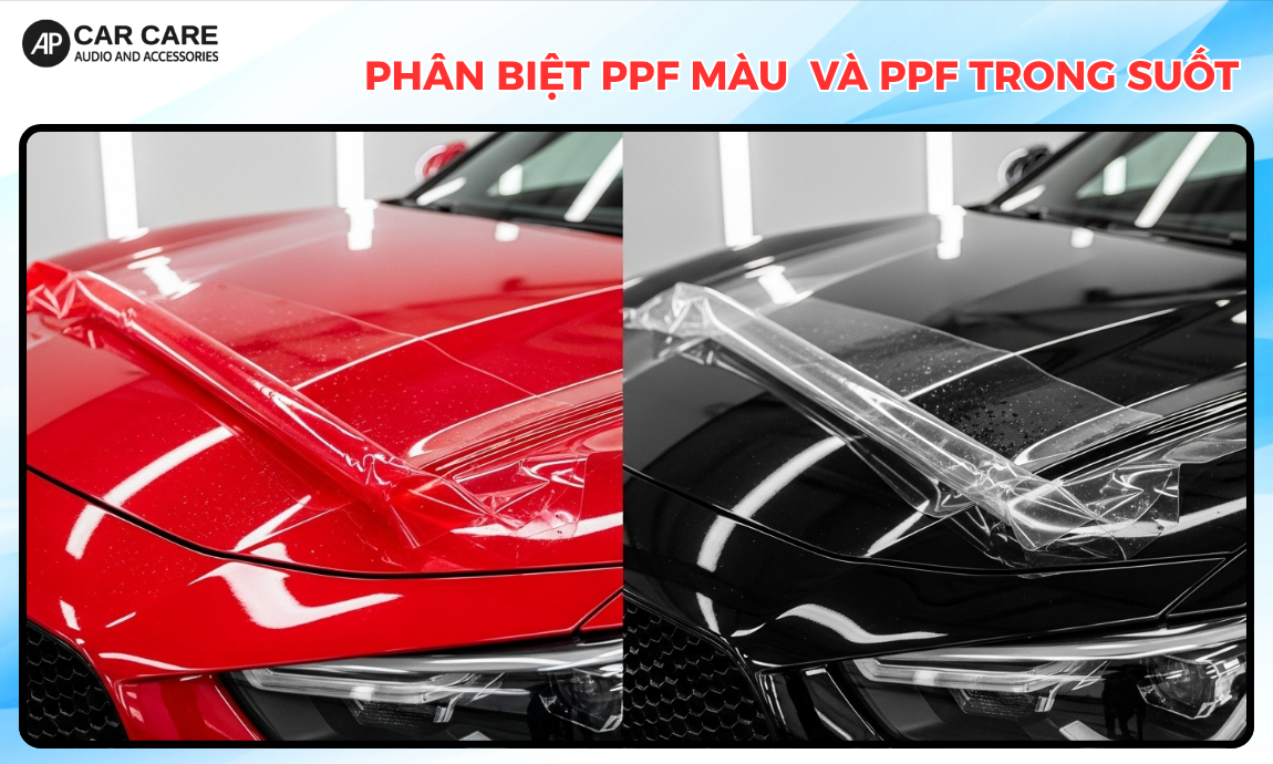 Phân biệt PPF màu và PPF trong suốt