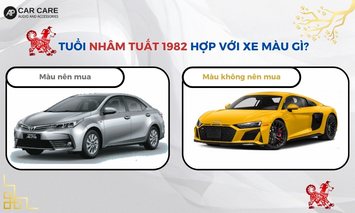 Tuổi Nhâm Tuất 1982 hợp với xe màu gì?