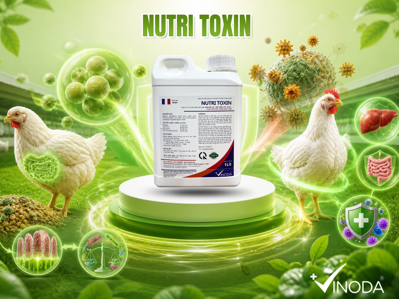 Nutri Toxin - Giải pháp hữu hiệu trong việc giải độc Aflatoxin từ tế bào men