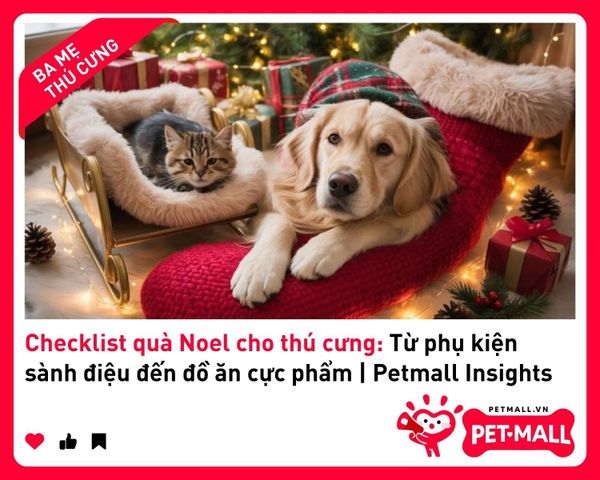 Checklist quà Noel cho thú cưng: Từ phụ kiện sành điệu đến đồ ăn cực phẩm | Petmall Insights 1