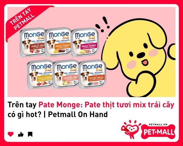 Trên tay Pate Monge: Pate thịt tươi mix trái cây có gì hot? | Petmall On Hand 1