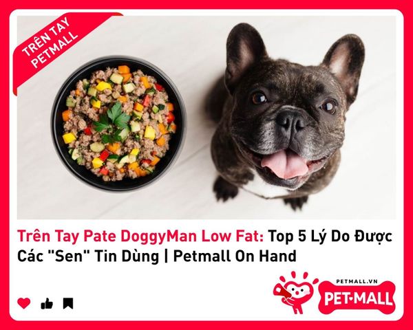 Trên Tay Pate DoggyMan Low Fat: Top 5 Lý Do Được Các