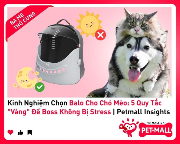 Kinh Nghiệm Chọn Balo Cho Chó Mèo: 5 Quy Tắc