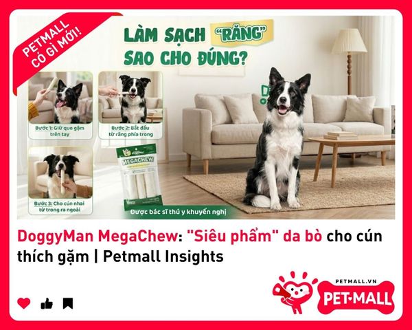 DoggyMan MegaChew: