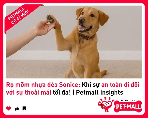 Rọ mõm nhựa dẻo Sonice: Khi sự an toàn đi đôi với sự thoải mái tối đa! | Petmall Insights 2