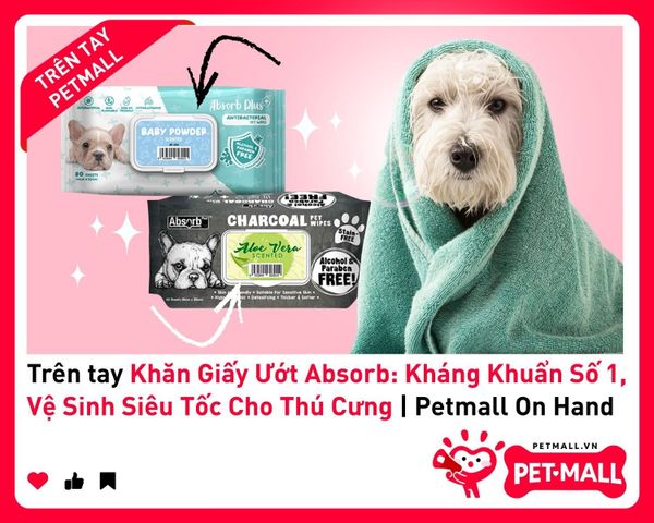 Trên tay Khăn Giấy Ướt Absorb: Kháng Khuẩn Số 1, Vệ Sinh Siêu Tốc Cho Thú Cưng | Petmall On Hand 1