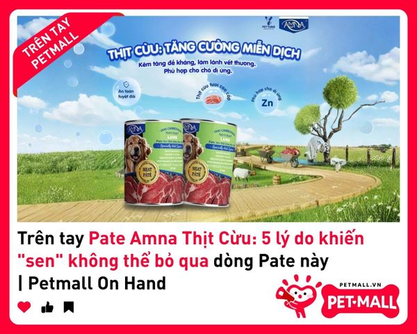 Trên tay Pate Amna Thịt Cừu: 5 lý do khiến