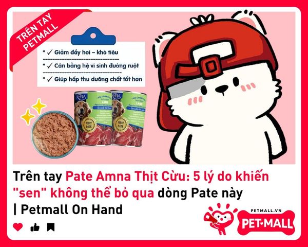 Trên tay Pate Amna Thịt Cừu: 5 lý do khiến