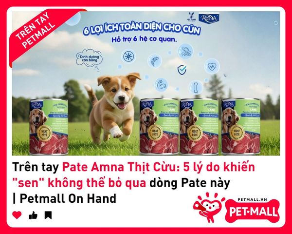 Trên tay Pate Amna Thịt Cừu: 5 lý do khiến
