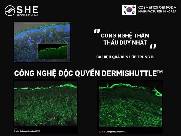nhà máy Cellicon Lab