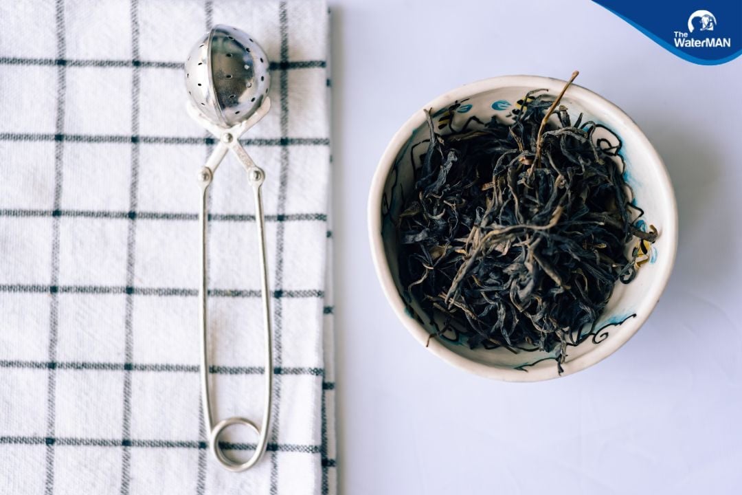 Trà Shan Tuyết vốn được coi là báu vật của núi rừng Việt Nam