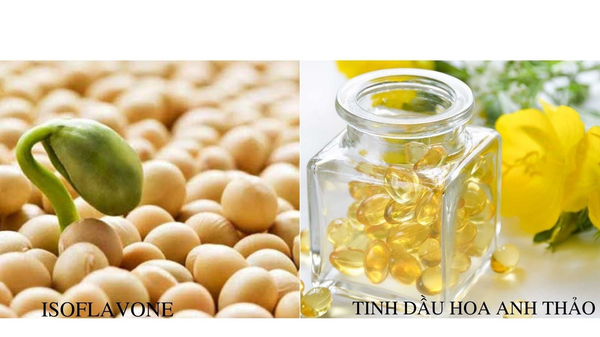 Hình ảnh bài viết