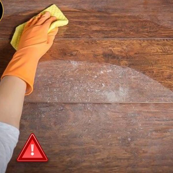 meo-keo-dai-tuoi-tho-ban-go-tu-nhien-trong-moi-truong-am-thap