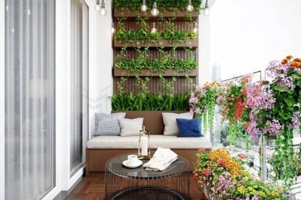 Hình ảnh bài viết