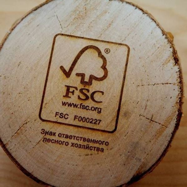 Hình ảnh bài viết